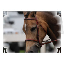 Cute Pony Greeting Cards