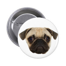 Cute Pug Gifts Pinback Button