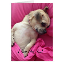 Cute Puppy Dog Chug Miss You Greeting Card