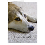 Cute Puppy Face I Miss You Greeting Greeting Card