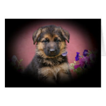Cute Puppy Greeting Cards