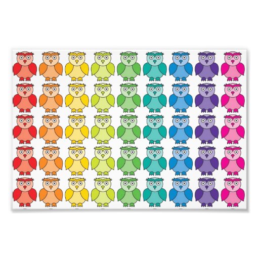 Cute Rainbow Owl Pattern. Photographic Print