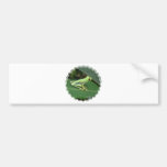 Cute Red Eyed Tree Frog Bumper Stickers