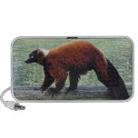 Cute Red-Ruffed Lemur Red Fur On Doodle iPhone Speaker