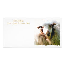 CUTE SHEEP PERSONALIZED PHOTO CARD