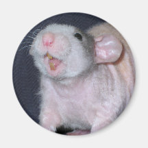 Cute Smile Rat Refrigerator Magnets