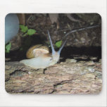 Cute Snail At Night Mousepad