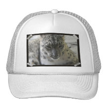 Cute Snow Leopard Baseball Hat