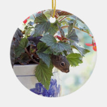 Cute Squirrel in a Flower Pot Christmas Ornament