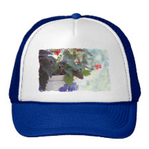 Cute Squirrel in a Flower Pot Mesh Hat