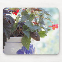 Cute Squirrel in a Flower Pot Mouse Pads