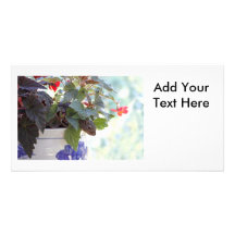 Cute Squirrel in a Flower Pot Personalised Photo Card
