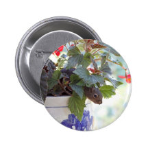 Cute Squirrel in a Flower Pot Pins