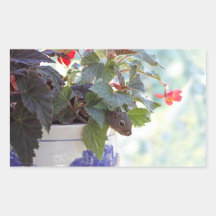 Cute Squirrel in a Flower Pot Sticker