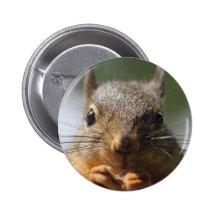 Cute Squirrel Smiling Photo Pinback Button