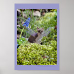 Cute Woodland Cat Fairy print