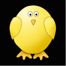 Cute Yellow Chick. Little Bird on Black. Photo Cutout