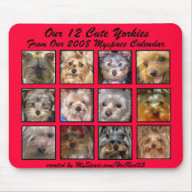 CUTE YORKIES 2008 CALENDAR (on a mousepad) RED