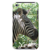 Cute Zebra  iTouch Case iPod Case-Mate Cases