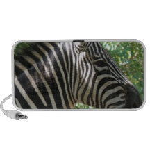 Cute Zebra Speakers