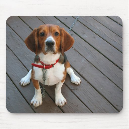 Cutest Beagle Dog Ever Mousemats
