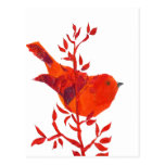 Cutest Red Bird on the planet Post Card