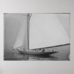 Cutter Shamrock Posters