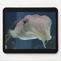 cuttlefish mousepad