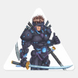 Cyber Ninja Stickers