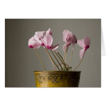 Cyclamen Plant Card