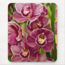 Cymbidium Orchid Mouse Pads