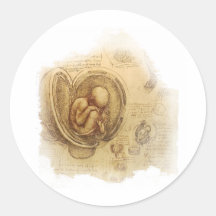da Vinci - Embryo Sketch Round Sticker