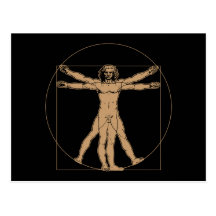 Da Vinci Vitruvian Man Postcard
