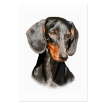 Dachshund 9Y420D-096a Business Cards