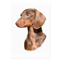 Dachshund 9Y420D-82 Business Card Templates