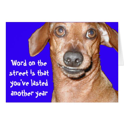 free dachshund birthday clip art - photo #41