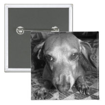 Dachshund Button