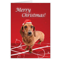 Dachshund Christmas Card
