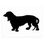 Dachshund Dog Lover Postcard