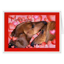 Dachshund Love - Valentines Day Card