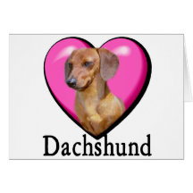 Dachshund Lovers Valentines Card