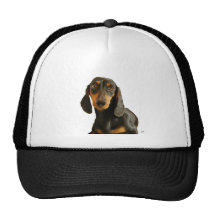 Dachshund ( Mini Brown Short Haired ) Hat