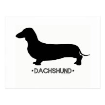 Dachshund Postcard