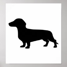 Dachshund Poster