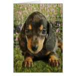 Dachshund Puppy (Black/Grey) on the Lake Card