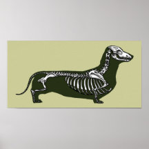 dachshund skeleton posters