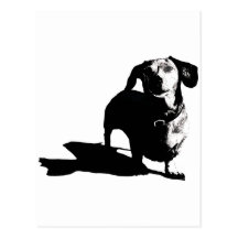 Dachshund Sketch Postcards