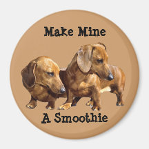 Dachshund Smoothies Magnet