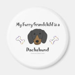 DachshundBlackTan Fridge Magnet