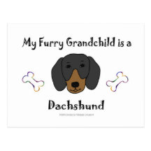 DachshundBlackTan Post Card